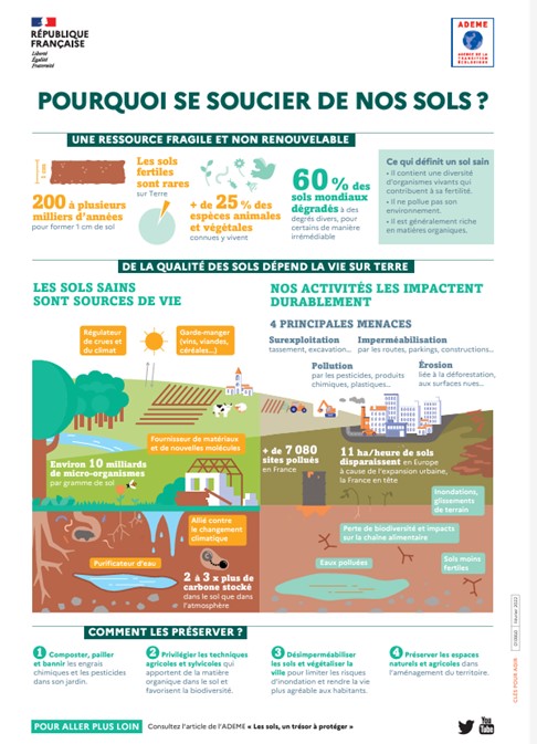 Infographie Pourquoi se soucier des sols